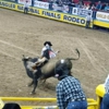 NFR Tickets 2016 -2017 Las Vegas gallery