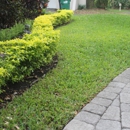 Green Shoots Lawn Care - Landscape Designers & Consultants