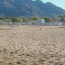 Lucky Charm Riding Center - Horse Training
