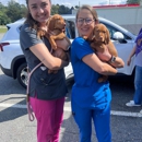 Animal Care Clinic of Rural Hall - Pet Services