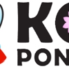 The Koi Pond, Inc. gallery