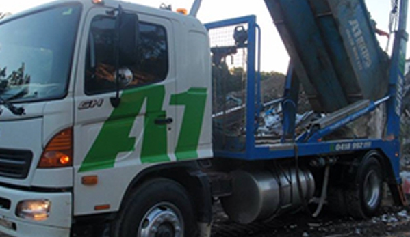 A1 Skips