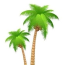 Deal Travel And Cruises LLC - Travel Agencies