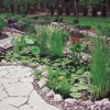 Insite Landscape Design, Inc gallery