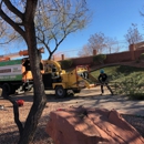 BA Robinson Tree Service Inc. - Tree Service