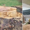 A  & M Tree Service & Stump Grinding gallery