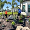 941 Tree Services gallery