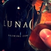 Lunacy Brewing Company gallery