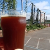 Corralitos Brewing Company gallery
