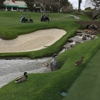 Shadow Creek Golf Course gallery