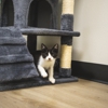 CityVet | West 7th gallery