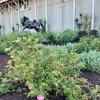 Trione Vineyards & Winery gallery