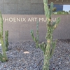 Phoenix Art Museum gallery