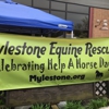 Horseman's Outlet gallery