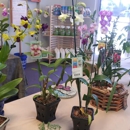 Brevard Screen Repair & Orchids - Orchid Growers