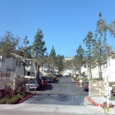 Peppertree Senior Apartments