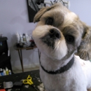 Doggie Paws Salon - Pet Grooming