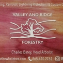 Valley and Ridge Forestry - Tree Service