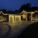 Blue Duck Christmas Lights - Home Decor