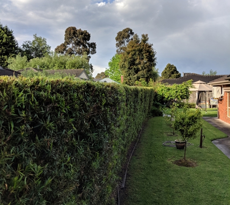 Green Grass Management - Narre Warren North, VIC. Garden Maintenance Picture