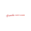 Pineda Carpet Cleaning gallery