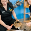 PetVet365 Pet Hospital Pittsburgh / South Hills gallery