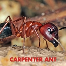 Truly Nolen Pest and Termite Control Grove City - Pest Control Services