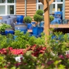 Old Country Gardens gallery