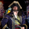 Pirates Voyage Dinner & Show gallery