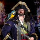 Pirates Voyage Dinner & Show - Home Theater Systems