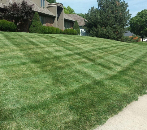 Dandy Lawn Care and Irrigation - Omaha, NE