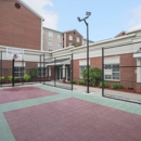 Homewood Suites by Hilton Albany - Hotels