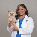 CityVet | Preston Park - Pet Services