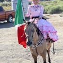 Escaramuza Dalia Mexiquense - Community Organizations