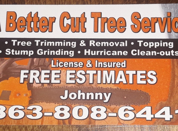 A Better Cut Tree Service - Lakeland, FL