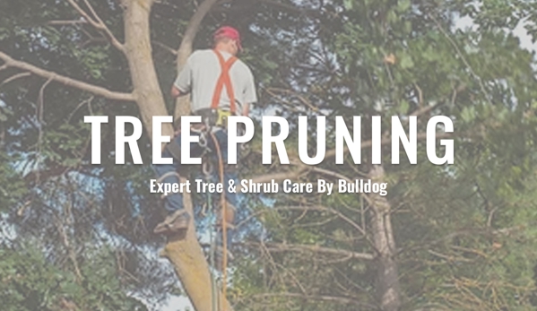 Bulldog Trees - Maroota, NSW. Tree Pruning