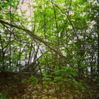 Ames Nowell State Park