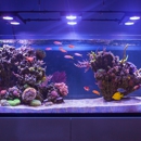 Modern Marine - Aquariums & Aquarium Supplies