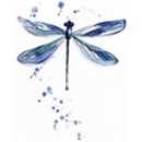 Opal Dragonfly Boutique - Women's Clothing