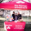 Amy Baysinger - State Farm Insurance Agent gallery