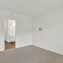 Olive Tree Apartments - Apartments