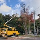 R & A Tree Service - Arborists