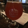 Living The Dream Brewing Company gallery