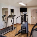 Comfort Inn Mount Shasta Area - Lodging