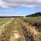 Bartlett's Ocean View Farm