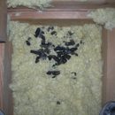 Covenant Wildlife - Pest Control Equipment & Supplies