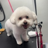 Fur Around and Find Out Mobile Dog Grooming gallery