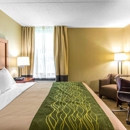 Comfort Inn Newport News/Williamsburg East - Motels