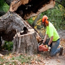 Advanced Tree Management - Tree Service
