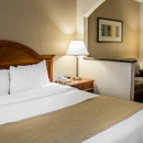 Comfort Suites Chesapeake - Norfolk - Motels